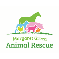 logo1.png