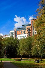 1337606868-6.jpg